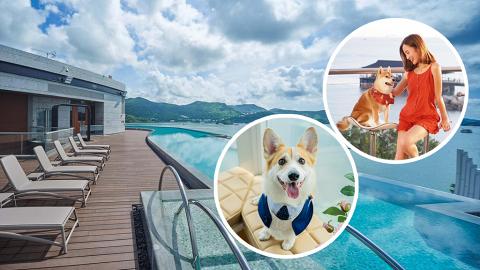 全港8大寵物Staycation酒店推介！人均$998起/入住即送禮品包/送專業寵物攝影！