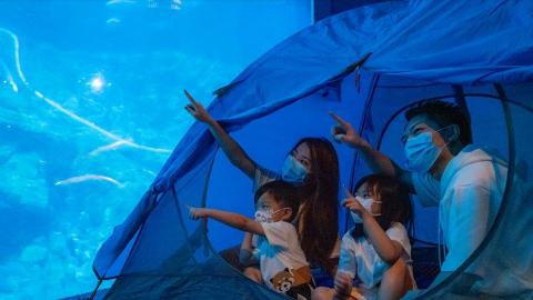 海洋公園加推另類staycation「自然全體驗—南區森海遊」 水族館紮營+文化導賞+樂園門票
