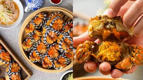 九龍灣大閘蟹放題激減59折 任食3款爆膏大閘蟹+越式小食！$48加購任飲青島生啤