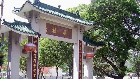 林村許願樹