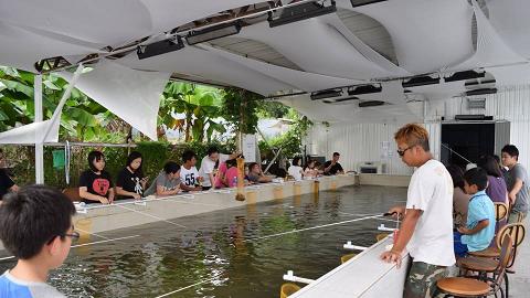 幸福山莊釣魚場