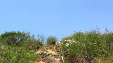 【登山】河上鄉後山。大石磨