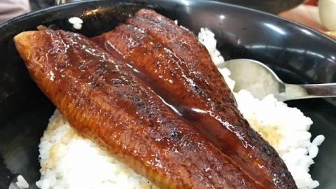 任加鰻魚汁、足料鰻魚飯　荃灣抵食日式料理店