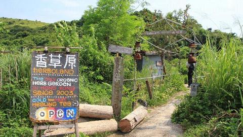 香草原