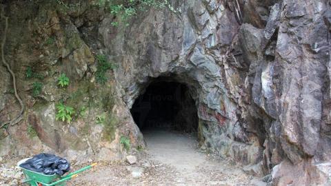 離島自然歷史徑－梅窩段