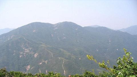 紫羅蘭山