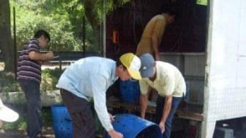 大美督魚場