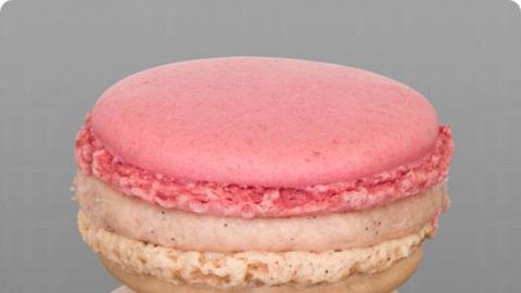 Le Jardin Patisserie