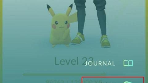 Buddy功能有得玩！Pokemon GO更新正式登場