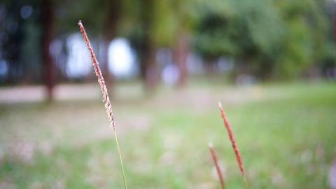 野餐必備的六個角色