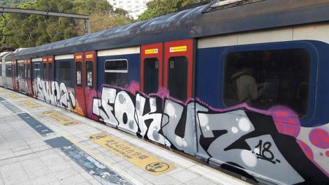 東鐵列車現獨特塗鴉　網民讚有創意望港鐵保留