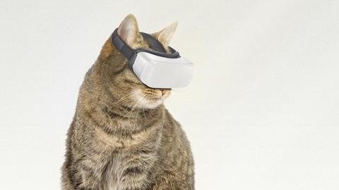 貓仔都可以用VR打機？ 外國推貓貓虛擬實境眼罩