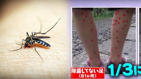 夏天做足防蚊措施都比蚊咬？日本節目教你一招減低被蚊咬機會