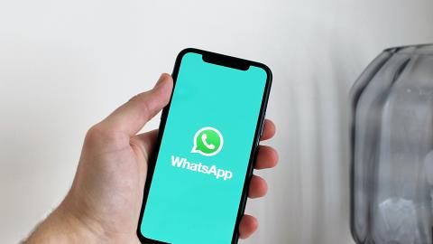 WhatsApp4大實用新功能+技巧教學！一鍵清相/短片、7日自動清除限時訊息、自訂聯絡人Wallpaper