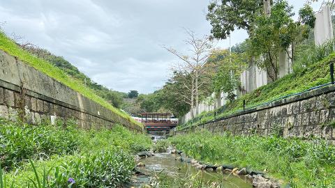 佐敦谷明渠活化為330米「河畔城市」設觀景台 變身「港版清溪川」成逾10種蝴蝶棲息地