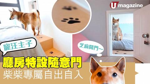 廳房特設隨意門  柴柴專屬自出自入