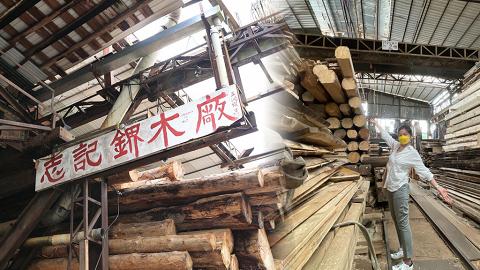 鍾楚紅親身到志記鎅木廠了解打氣 紅姑：香港工藝與實務係好值得傳承嘅行業 呼籲朋友把握機會 