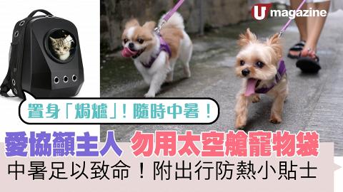 愛協籲主人勿用太空艙寵物袋 中暑足以致命！附出行防熱小貼士