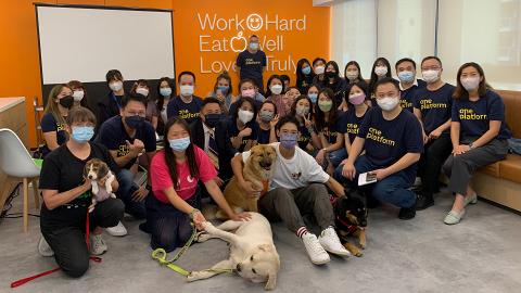 香港公司送額外假期鼓勵員工領養！領養寵物獲2日假+每年多1日年假+寵物喪假
