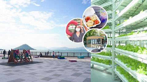 【堅尼地城一日遊】全港首個市區海邊玻璃水耕溫室推介！嘆自家種植有機美食+海濱打卡位