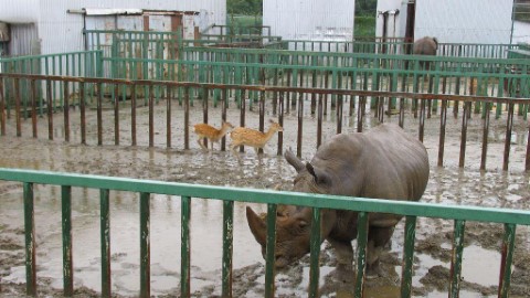 那須高原大感謝祭 精彩住玩優惠
