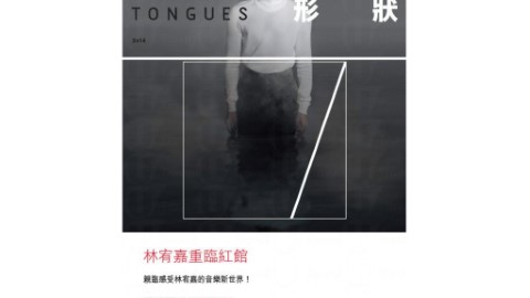 林宥嘉「口的形狀」演唱會2014