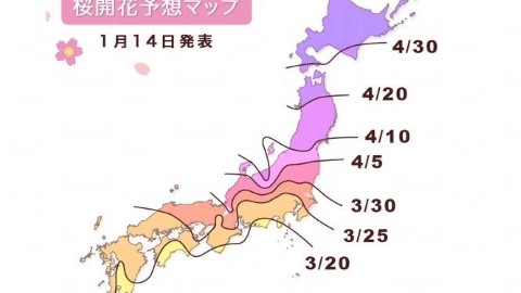 預測！