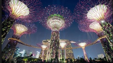 新加坡過情人節