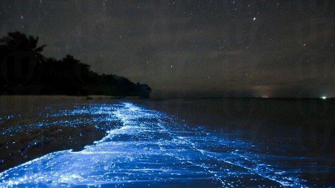 死前要親眼看一次！全球83處