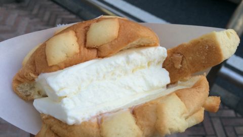 2016年懶人包速讀 日本10大食．買．玩新鮮事