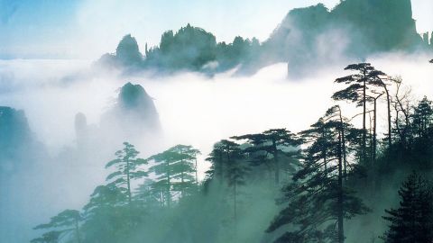 綠色 • 低碳遊福建