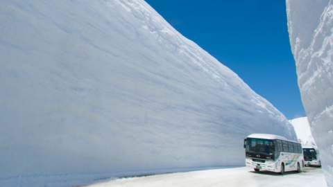 Plan定睇大雪谷！ 2016 立山黑部開山日期公布
