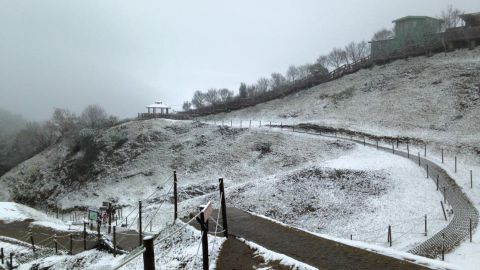 台灣清境相隔10年下雪 近在咫尺的台灣雪景