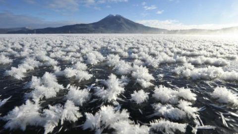 北海道大雪後奇景 阿寒湖「霜之花海」