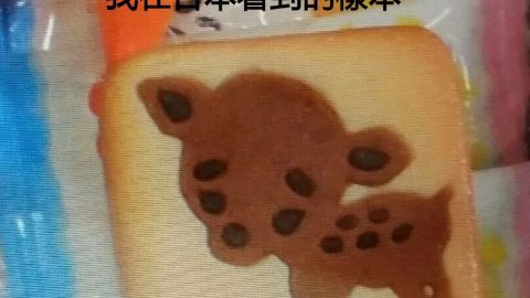 網友在日本奈良買可愛鹿餅 一打開發現鹿餅模樣大崩壞！