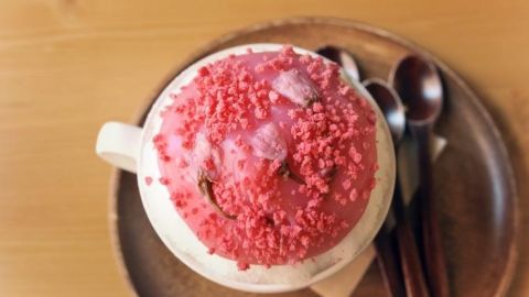 首爾夢幻超粉紅牛奶櫻花冰 相約閨蜜來這裏瘋狂自拍