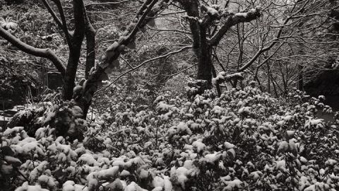 享受生活！ 台灣5間慢活Café