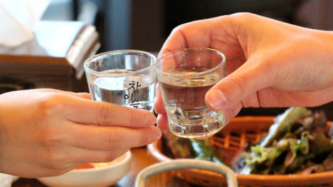 韓版Jolly Shady 女生大愛的酒精果汁「水蜜桃碳酸酒」