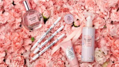 粉紅櫻花熱！ Etude House Pink Cherry Blossom系列浪漫上市