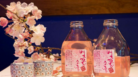 韓國都有！半透明粉紅「櫻花碳酸燒酒」 櫻花樹下賞櫻特飲
