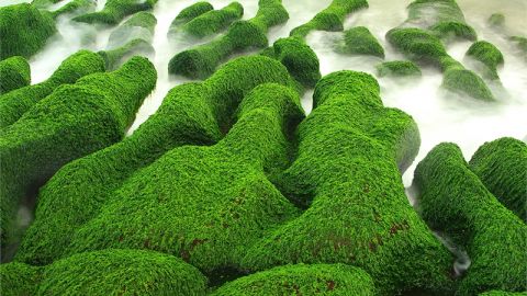不敢相信這是台北！