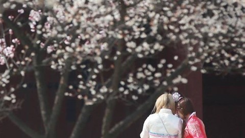 K-Style Hub重開免費韓服體驗服務 1小時內任穿高級韓服周圍逛！