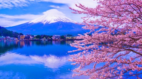 日本觀光廳推介！ 9大必買當地地道手信