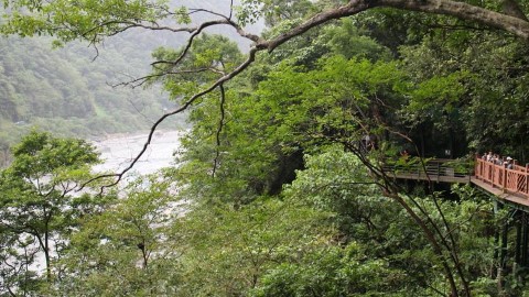 去台灣一定要挑戰！ 「繩索吊橋」飽覽迷人景色