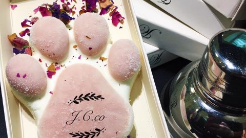 可愛到唔捨得食！ 台灣超人氣熊掌雪條