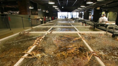 食盡所有海鮮！ 台北上引水產美食攻略