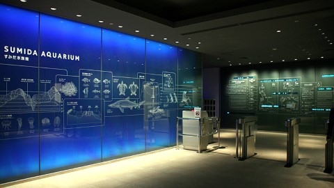 增添詭異氣氛！ 東京水族館萬聖節限定佈置