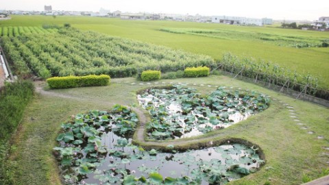 拍放閃照必去 台灣浪漫心型美景