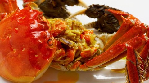 不用$1000就飛到！ 聖誕8大最抵熱門旅遊地