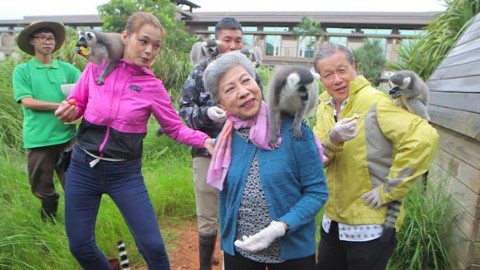 精選首五集內容！ 《一屋老友記去旅行》5大看點